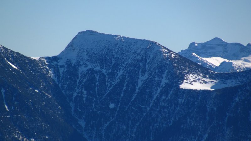 img_0318.jpg